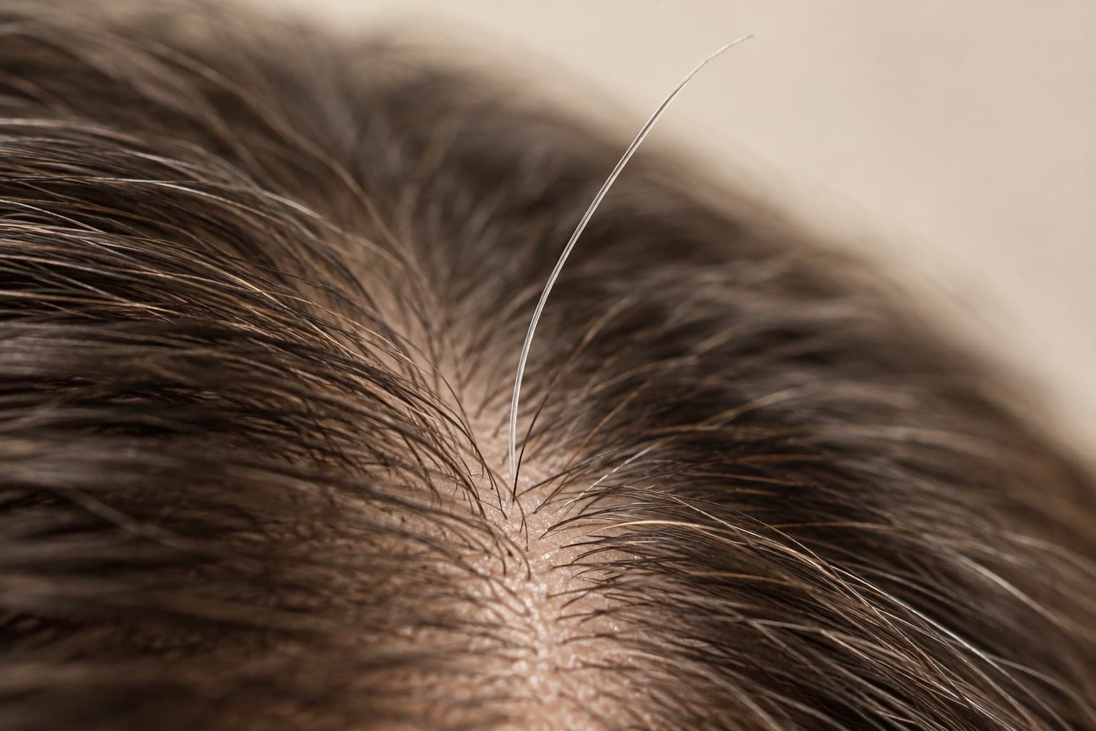 Macro of naturally gray strands